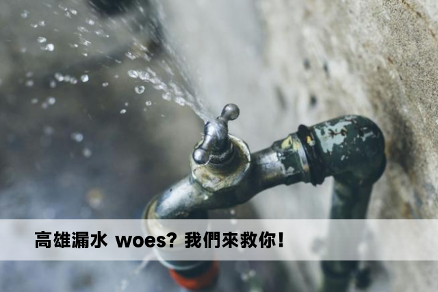 高雄漏水 woes? 我們來救你！