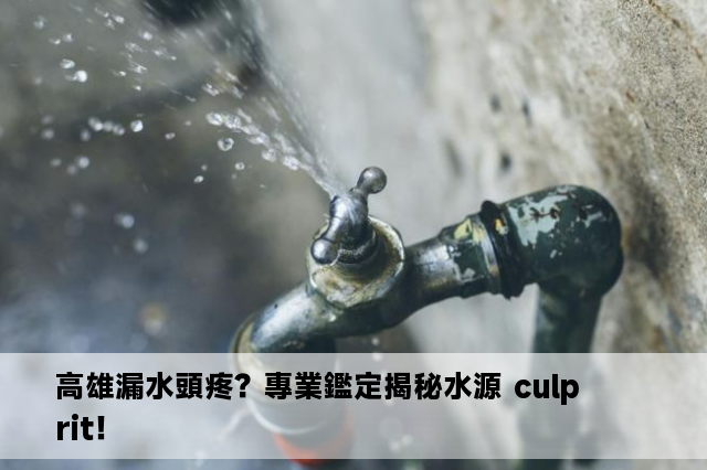 高雄漏水頭疼？專業鑑定揭秘水源 culprit！