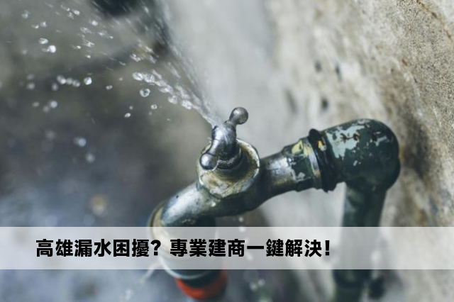 高雄漏水困擾？專業建商一鍵解決！