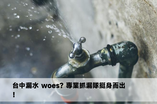 台中漏水 woes? 專業抓漏隊挺身而出！