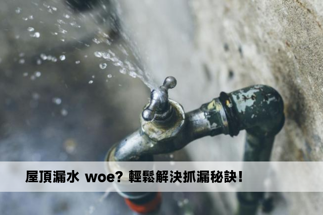 屋頂漏水 woe? 輕鬆解決抓漏秘訣！