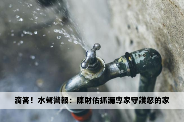 滴答！水聲警報：陳財佑抓漏專家守護您的家