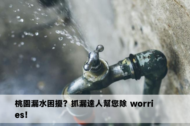 桃園漏水困擾？抓漏達人幫您除 worries！