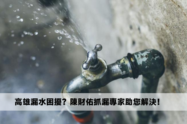 高雄漏水困擾？陳財佑抓漏專家助您解決！