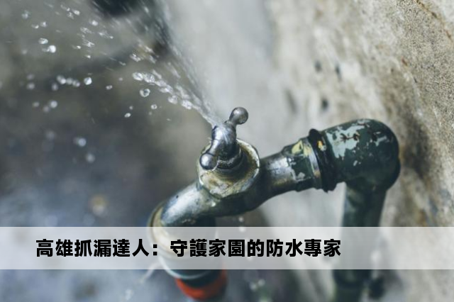 高雄抓漏達人：守護家園的防水專家