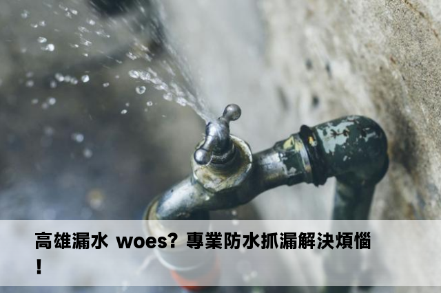 高雄漏水 woes？專業防水抓漏解決煩惱！