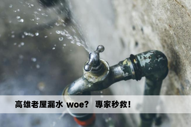 高雄老屋漏水 woe？ 專家秒救！